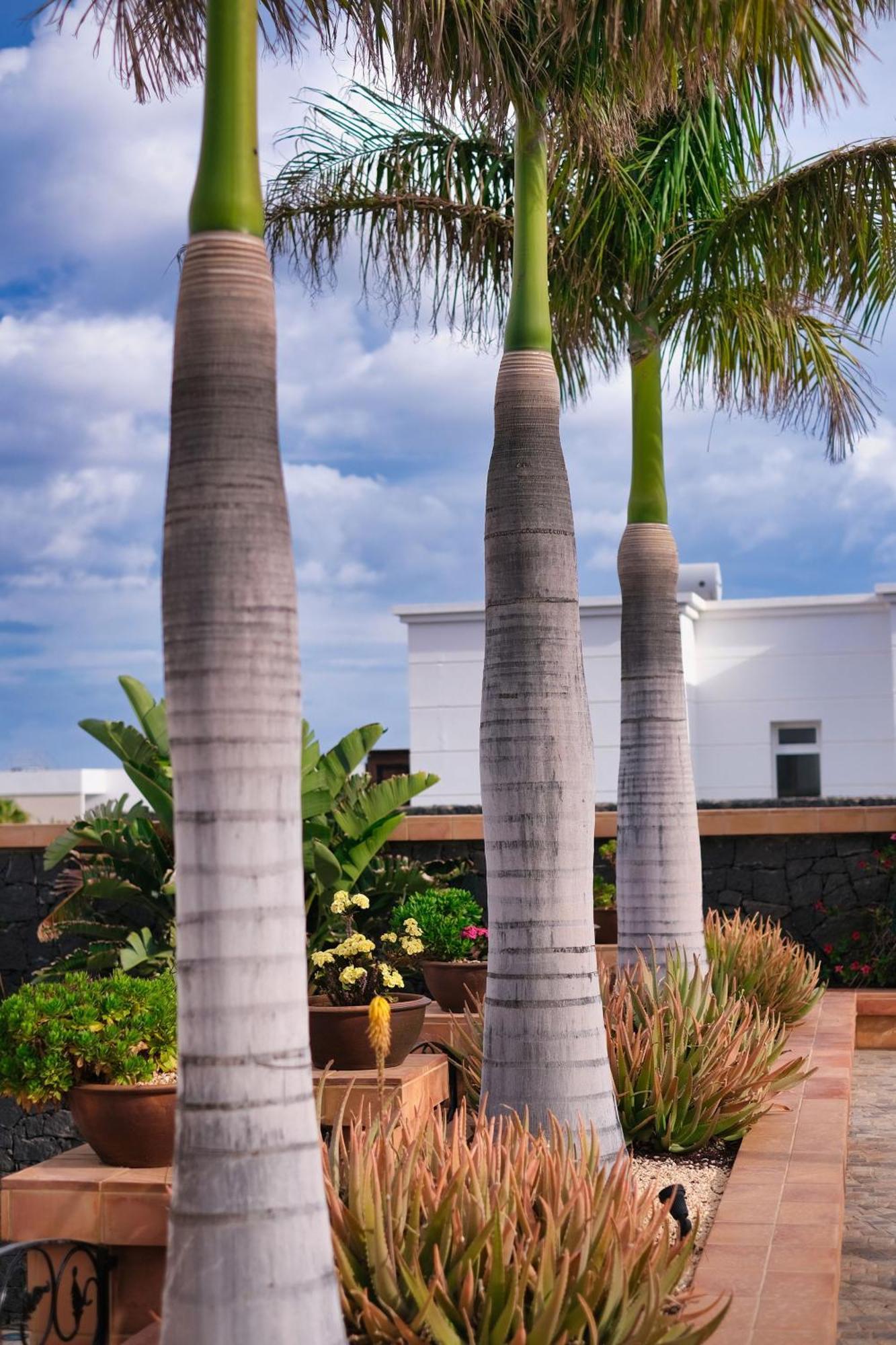 Casa Mia Vendégház Puerto Calero Kültér fotó